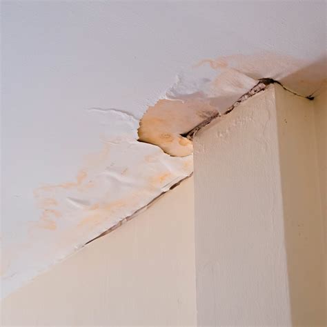 What to Do When Your Ceiling Has Water Damage